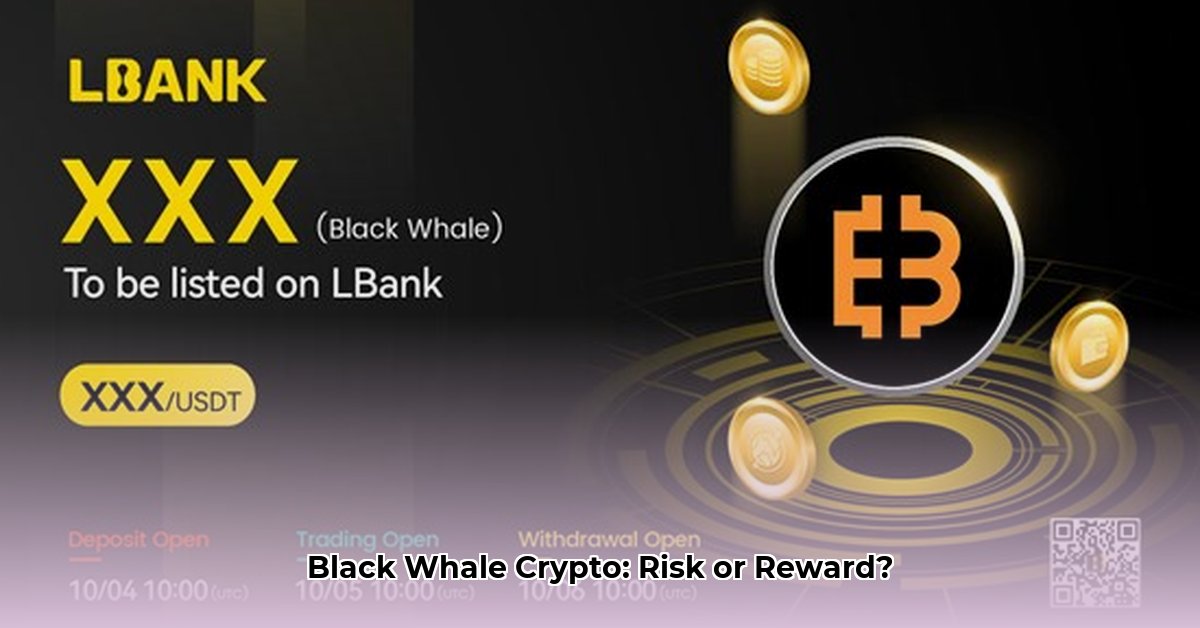 black-whale-crypto